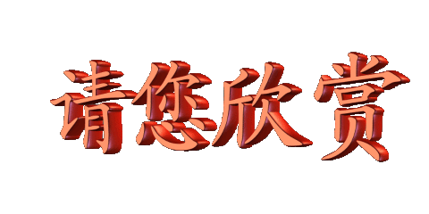 放飞梦想语文坊