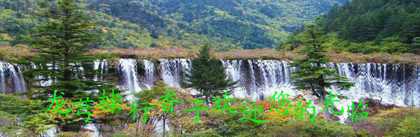 壁纸 风景 旅游 瀑布 山水 桌面 600_196 gif 动态图 动图