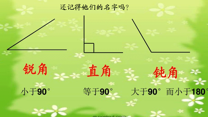 作业标题:三角形的分类