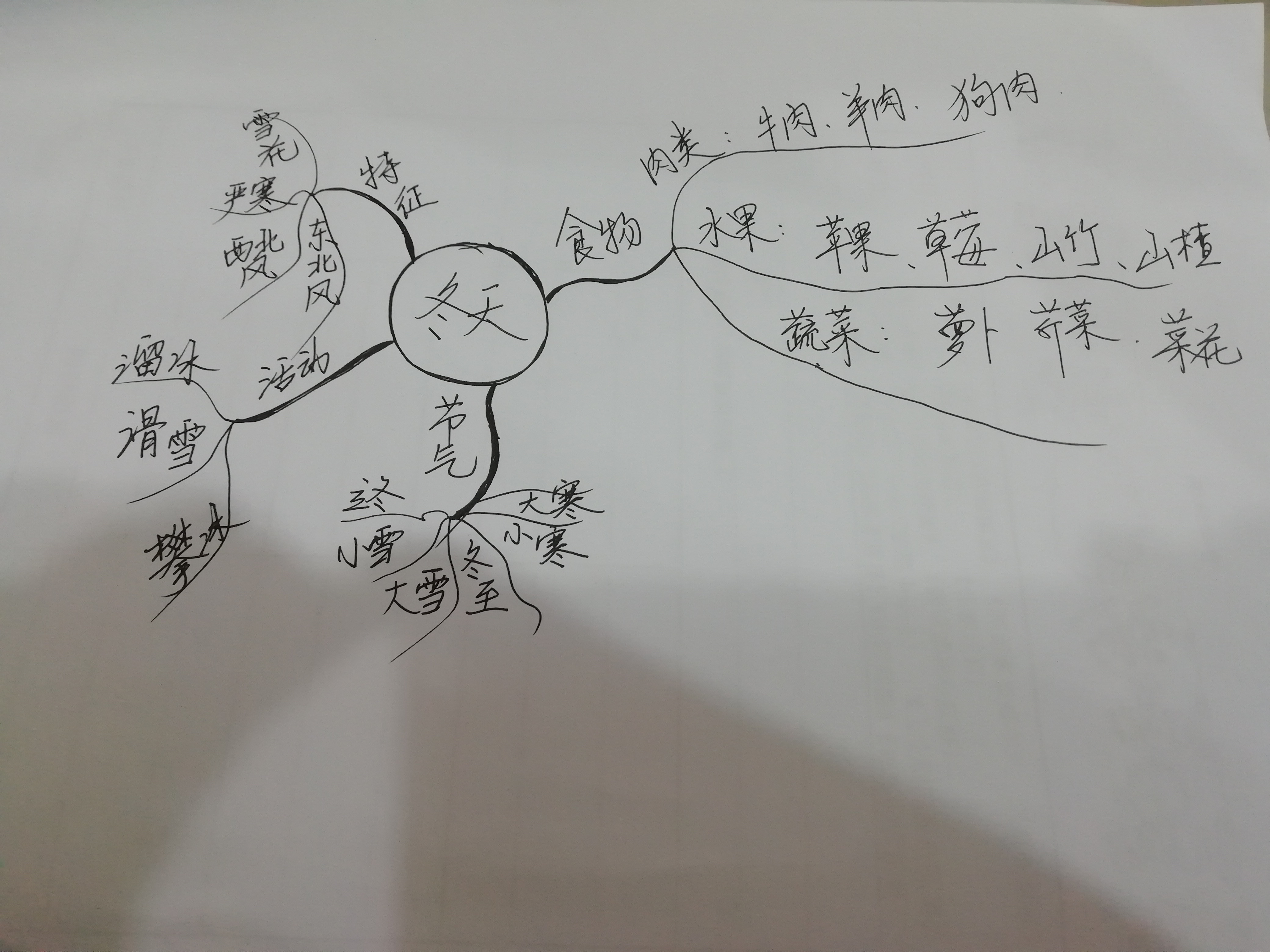 m1活动2:使用思维导图进行发散思维训练