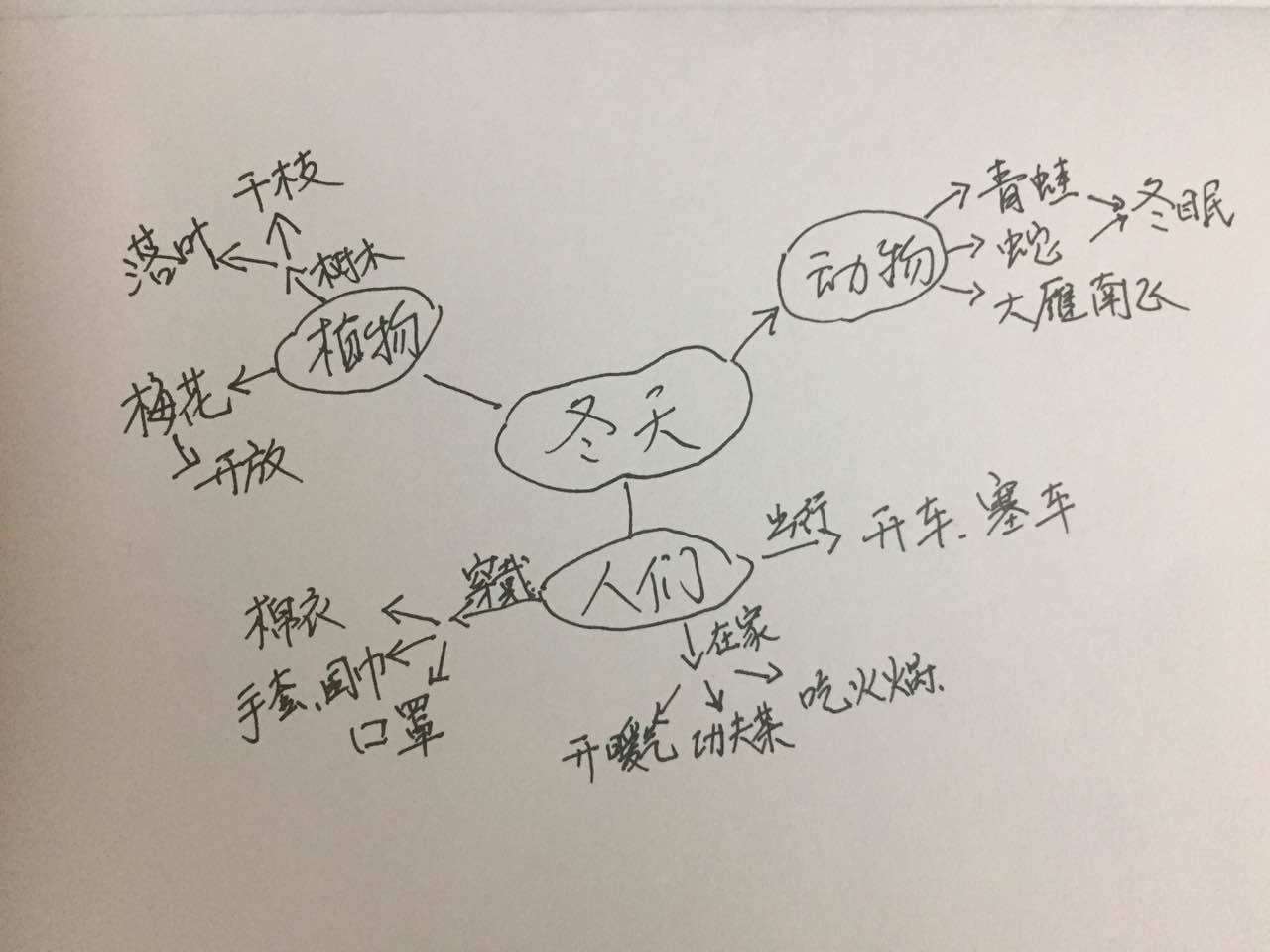 活动2:使用思维导图进行发散思维训练