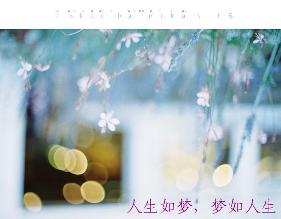 人生如梦,梦如人生!