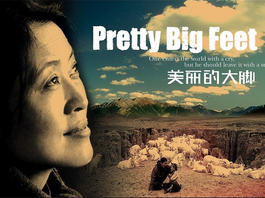 《美丽的大脚》——张美丽的"穷人教育学"