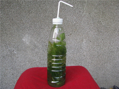 第三种,直接使用一个矿泉水瓶,其中注入4/5的清水,加入适量碳酸氢钠