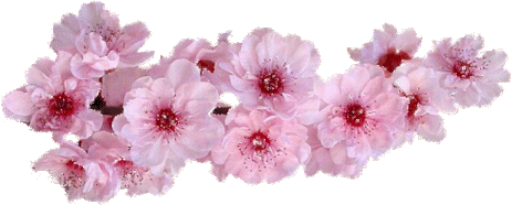 在这个春暖花开的季节,2018年上半年浙江省中小学教师专业发展培训拉