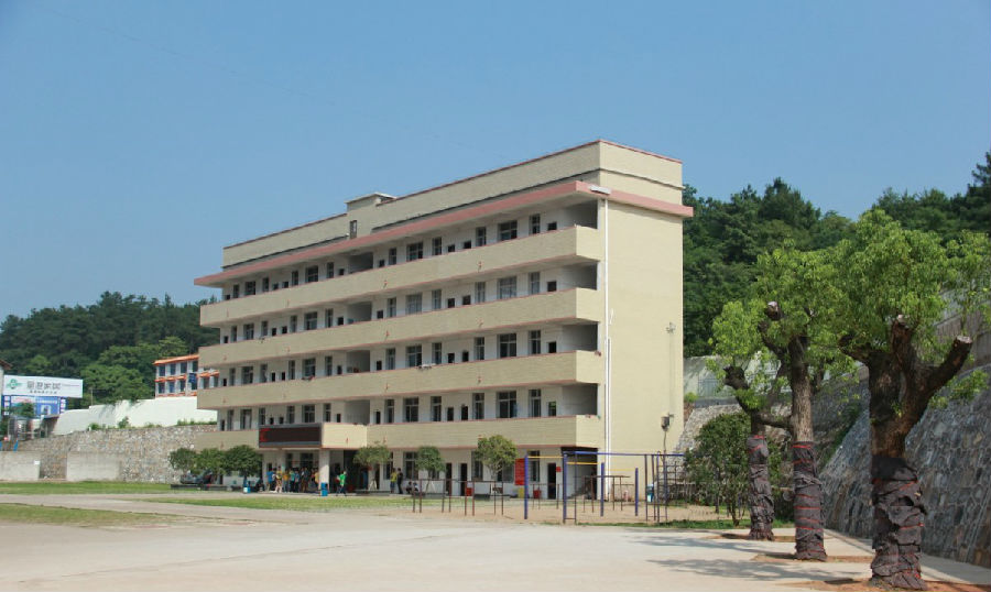 前进中的衡南九中