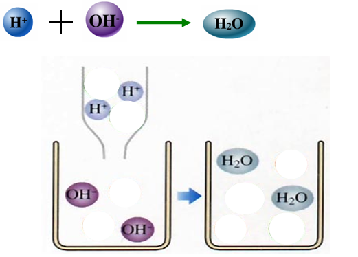 作业:《酸碱中和反应》教学设计